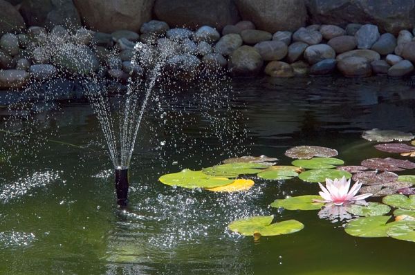 landscaping with water feature