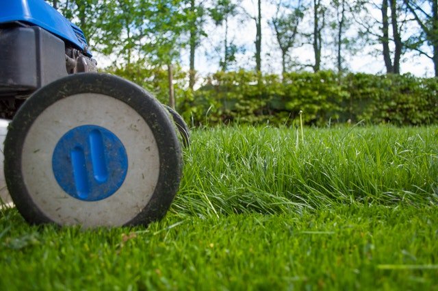 lawn maintenance