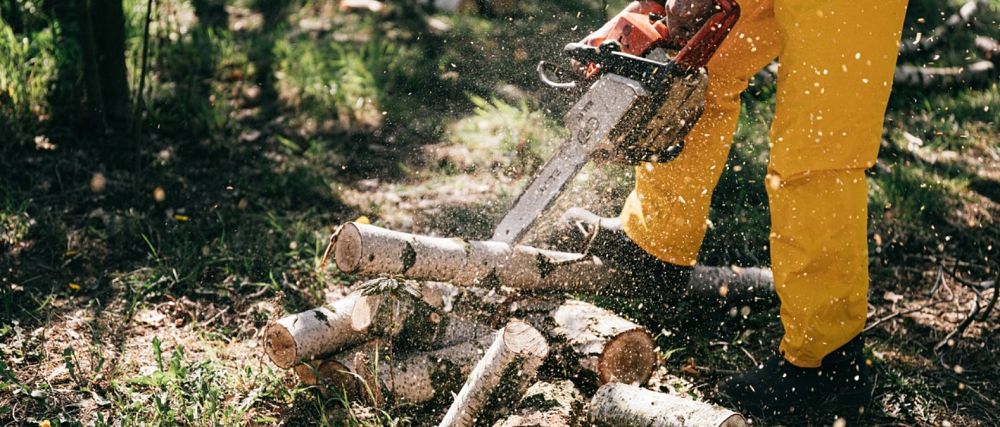 tree removal cost