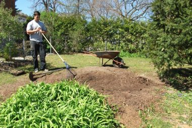 tree planting service providers