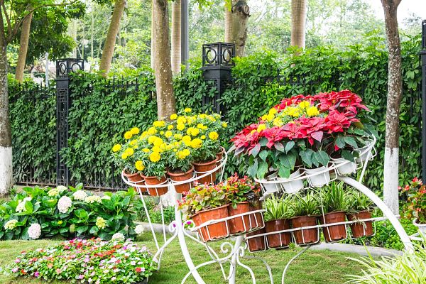 container gardening