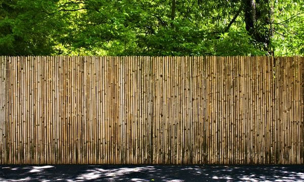 Exactly How Much Does It Expense to Install a Fencing on a Home? thumbnail