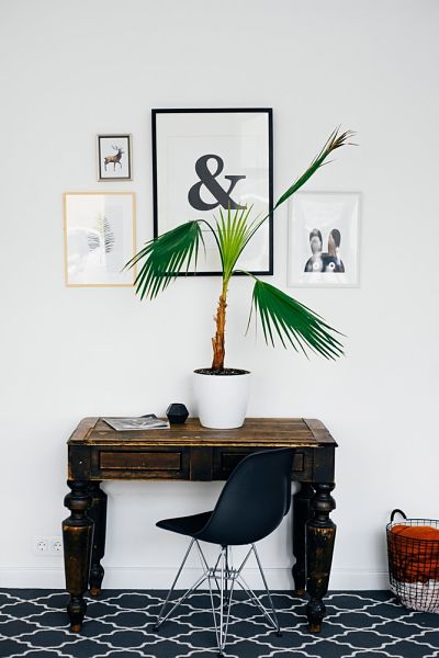 wall decor ideas