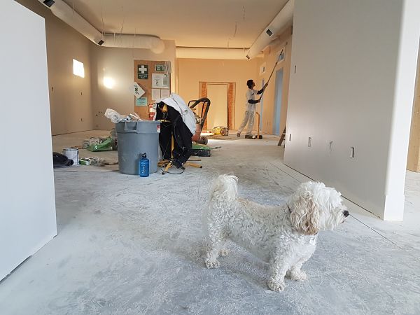 how to know if a wall is load bearing