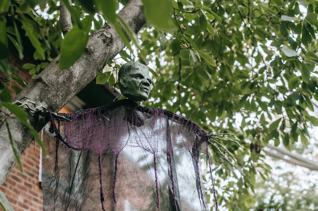 Halloween decoration on the tree