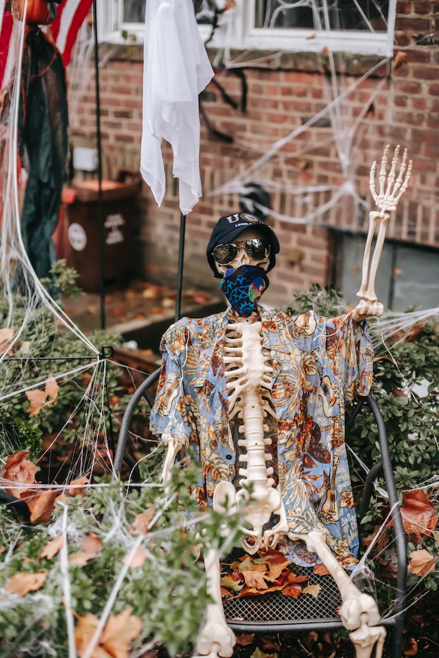 Skeleton with shirt and web-spiders 