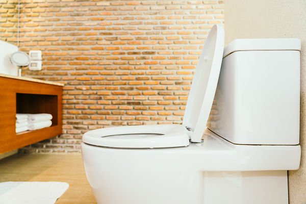 Elongated toilet