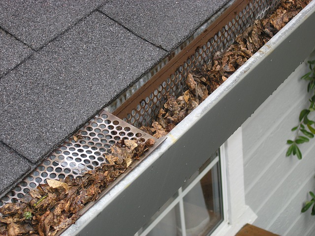 Gutter full with leaves