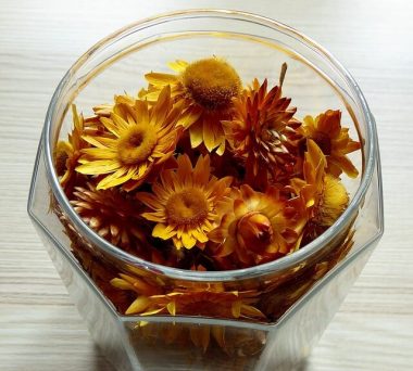 Bright potpourri
