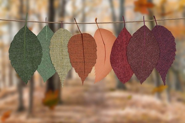 Thanksgiving streamers