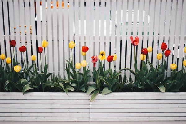 Picket fence
