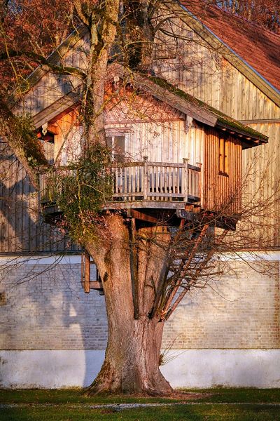 backyard treehouse
