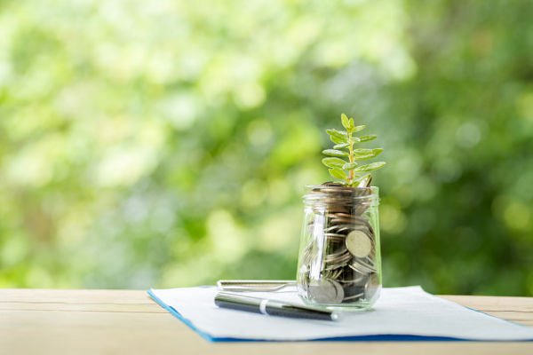 Emergency Economic Injury Grants
