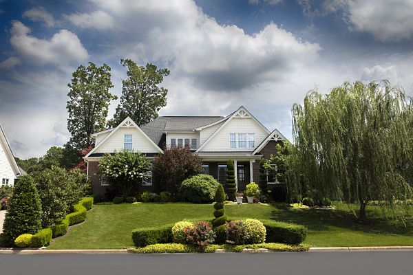 front yard greenery