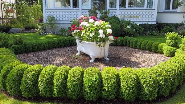 landscaping project