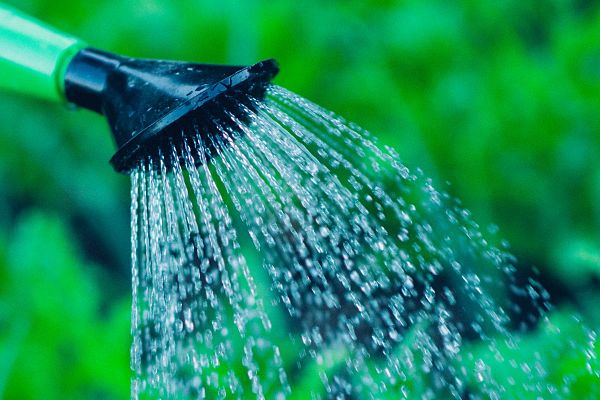 greywater reuse