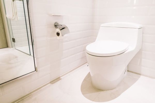 low flow toilet