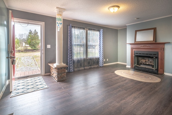 type of fireplace door