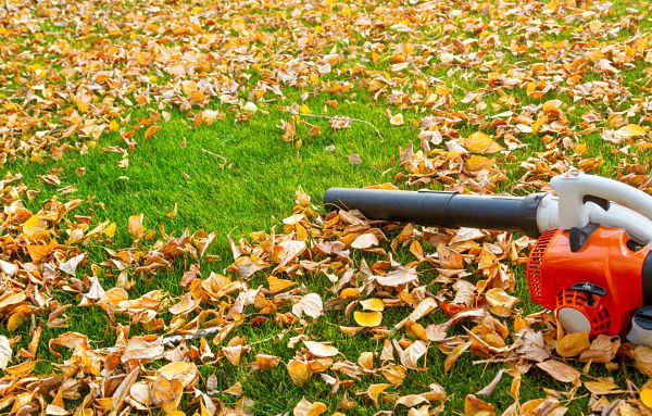 Leaf blower
