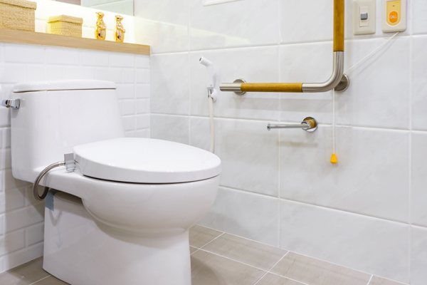 bathroom grab bars