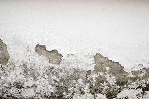 Moisture for walls