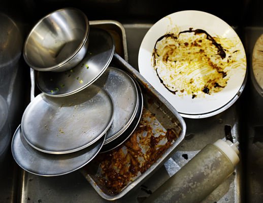 pest control in kitchen