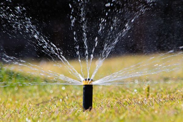 water lawn