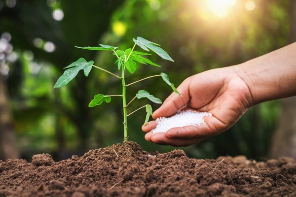 winter fertilizers