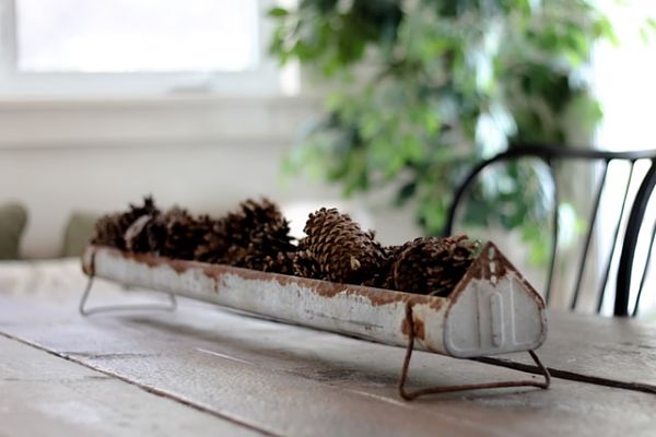 Simple Christmas decor