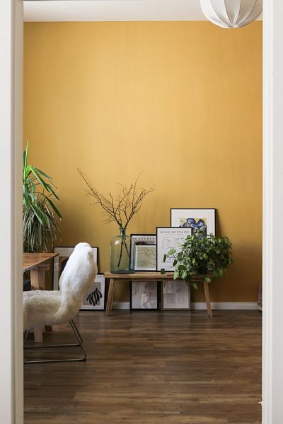 Wall color