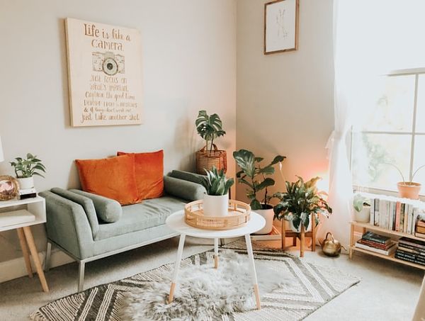 indoor plants apartment