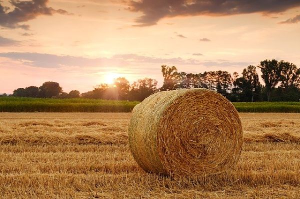 straw bale