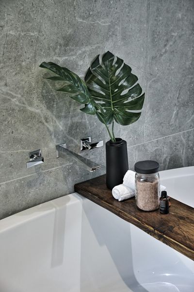 bathroom plant