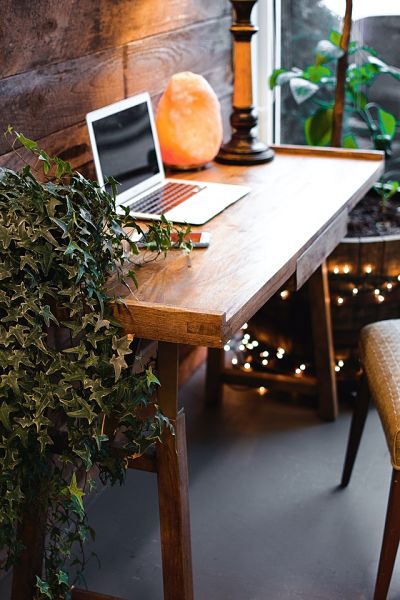 home office plants