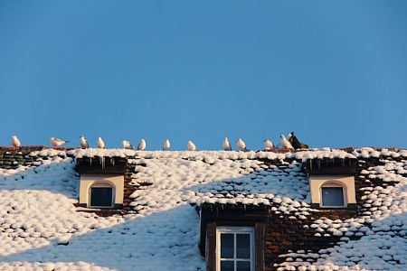 prepare roof for winter