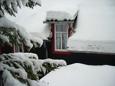 prepare windows for winter