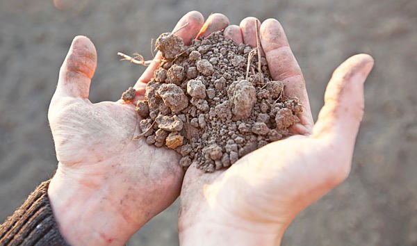 preventing soil erosion