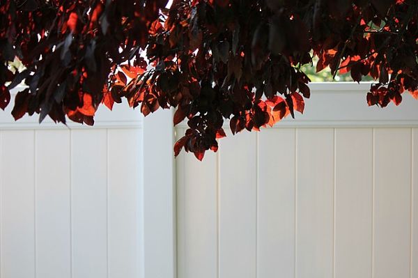 vinyl fencing