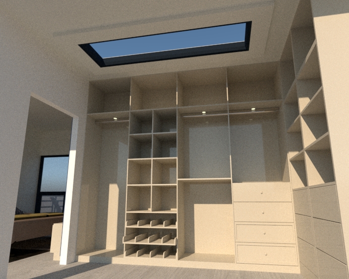walk in closet ceiling