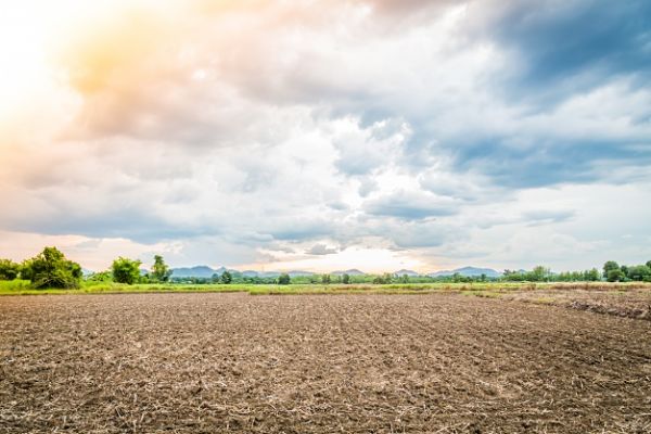 farmland for sale
