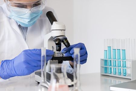 mold testing