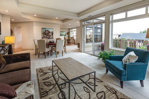 tray ceiling living room