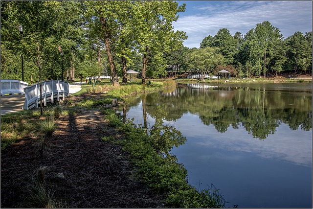 atlanta park