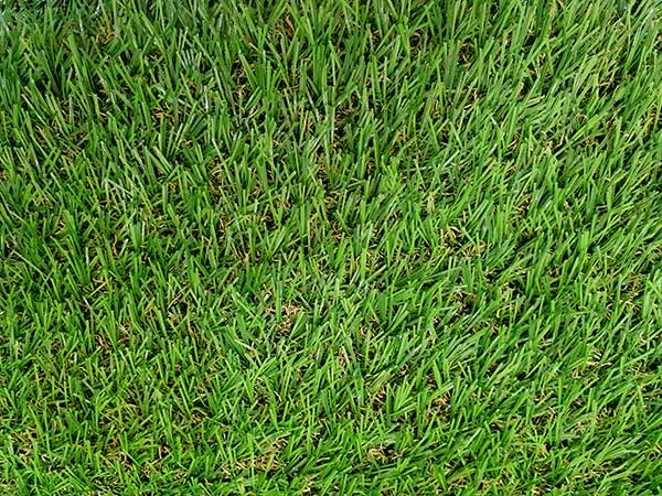 yard surface