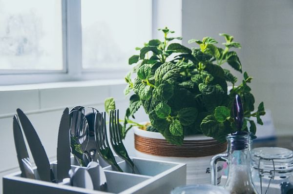 indoor herb garden