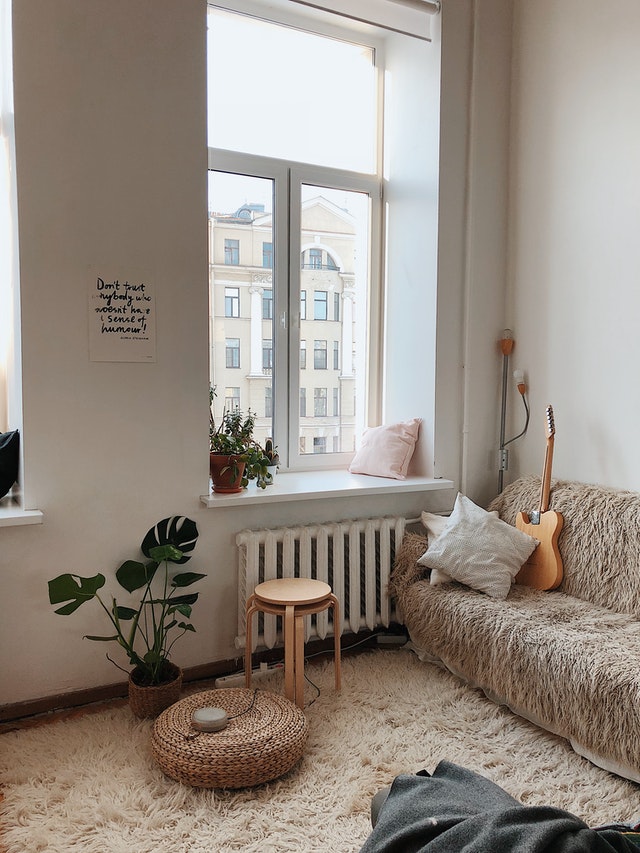 indoor plants for my rental home