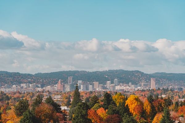 Creston-Kenilworth portland