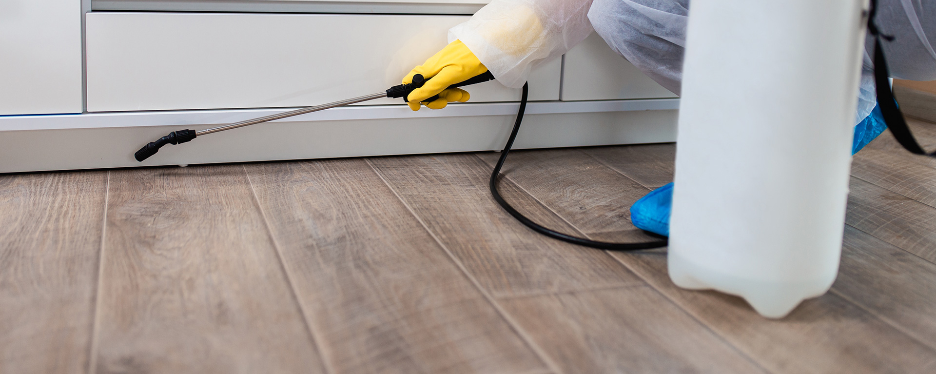 Termite Inspections