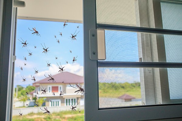 keep mosquitoes out