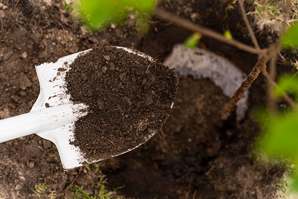 Using bulk topsoil
